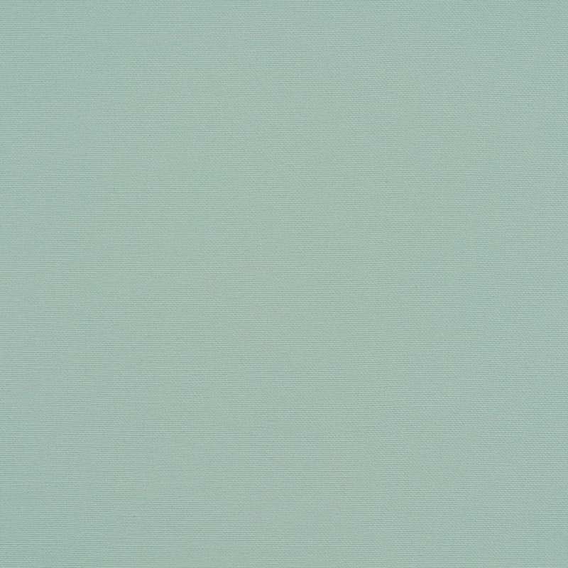 TSSI-2102 coral